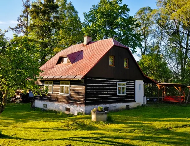 Zbavte se havěti na chalupě: Zažeňte myši i mravence!