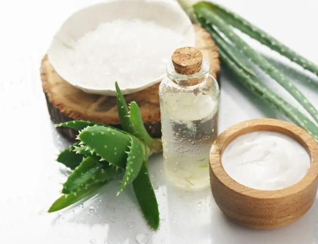 10 důvodů, proč mít doma Aloe vera