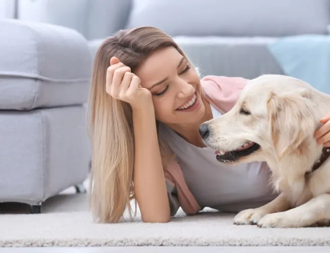 5 tipů, jak se doma zbavit zvířecích chlupů
