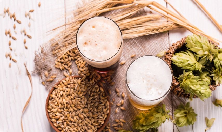 Co dokáže pivo? hlavní banner