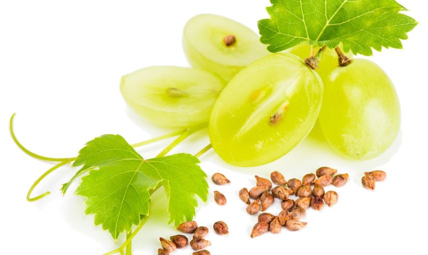 Kosmetické vinobraní hlavní banner
