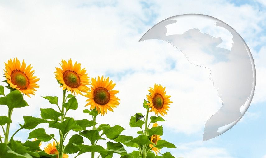 Červencový horoskop a lunární kalendář pro krásu hlavní banner