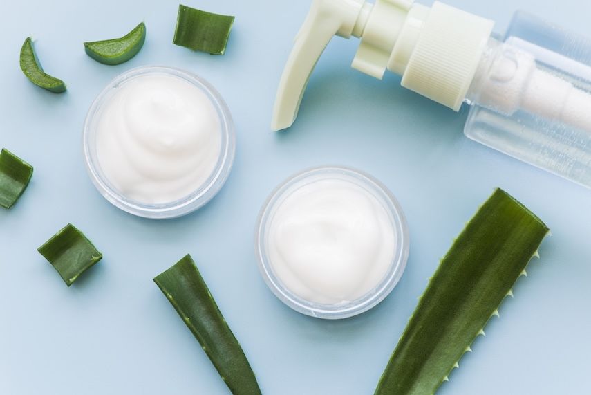Objevte tajemství (letní) krásy s aloe vera hlavní banner