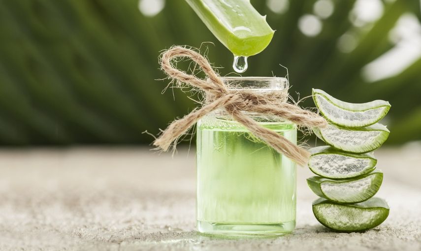 Co dokáže Aloe vera hlavní banner