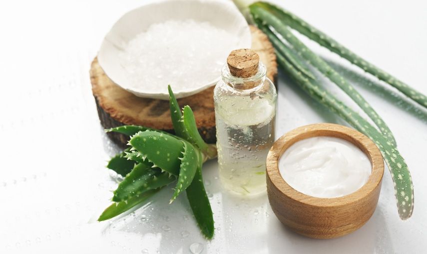 10 důvodů, proč mít doma Aloe vera hlavní banner
