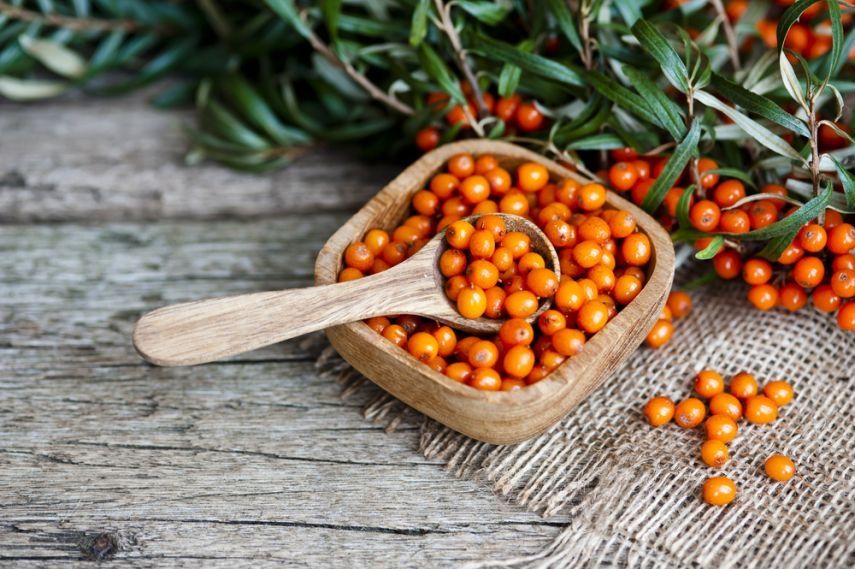 Vitaminová bomba pro imunitu i pro krásu: zkuste rakytník! hlavní banner