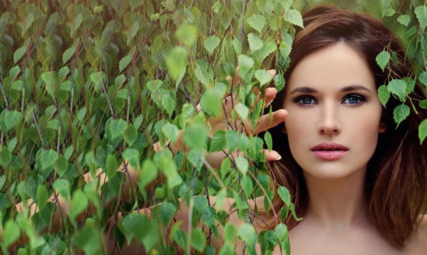 Březová šťáva: Zapomenutý zázrak přírody hlavní banner
