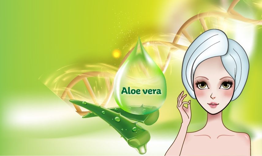 Kosmetické ingredience: Aloe vera hlavní banner