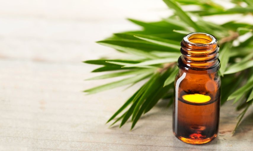 Kouzelník ve vaší koupelně aneb Co dokáže Tea Tree olej hlavní banner