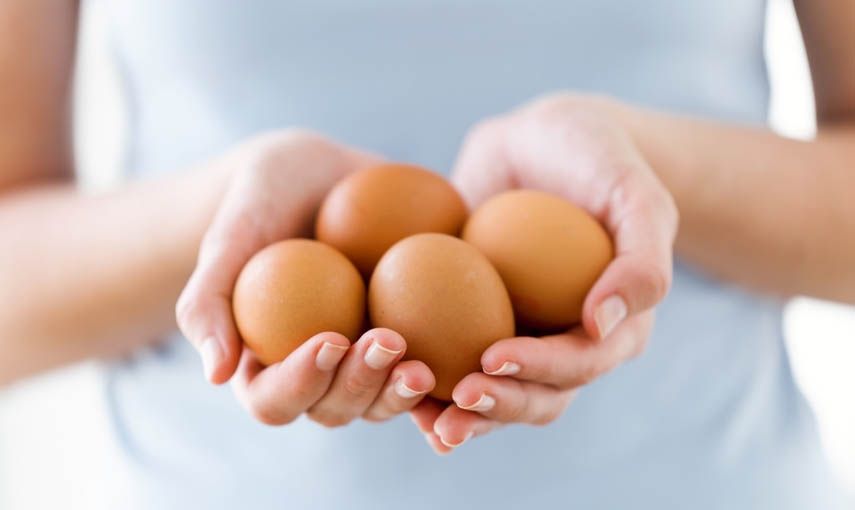Co dokážou vejce? hlavní banner