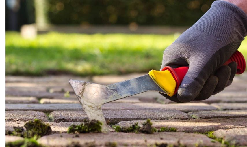 Jak rychle a účinně zbavit chodník plevele hlavní banner